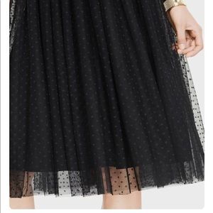 Ann Taylor NWOT dot tulle skirt